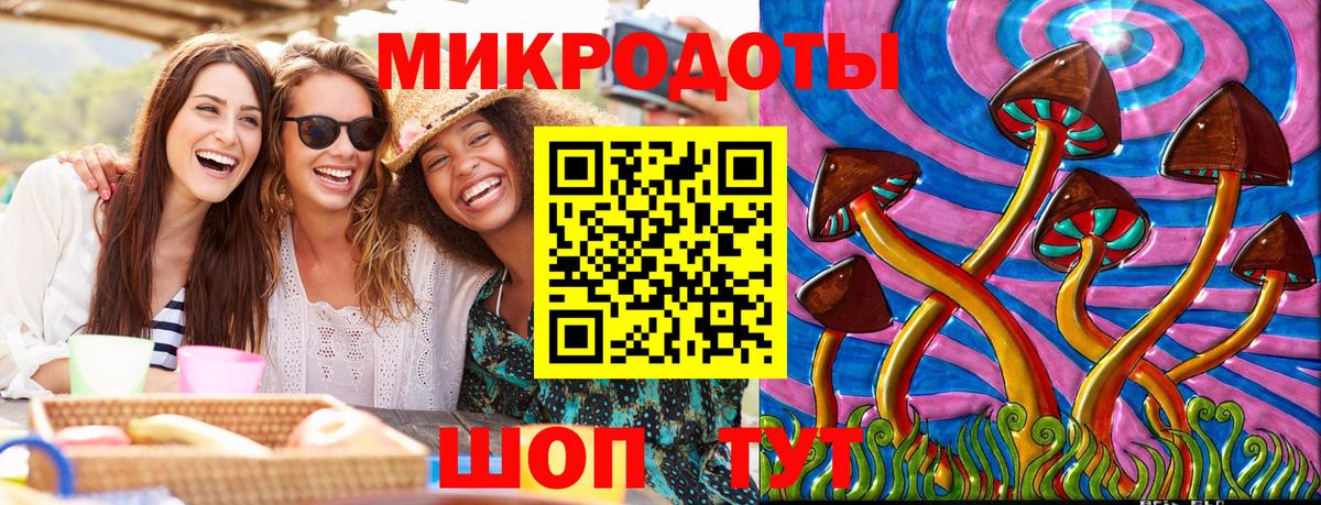 Галлюциногенные грибы Psilocybine cubensis Кимры